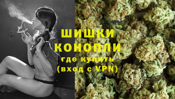 бошки Дмитров