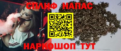 молекула духа Славянск-на-Кубани