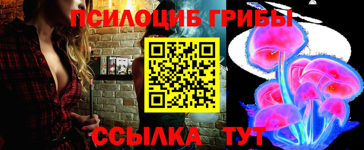 Чапаевск  Псилоцибиновые грибы Psilocybe  Вход с VPN  что такое   Псилоцибиновые грибы Cubensis 