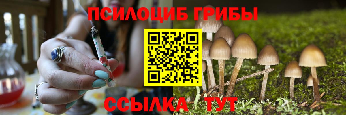Галлюциногенные грибы мухоморы Чапаевск
